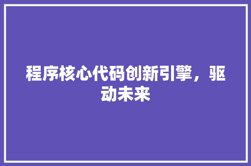 程序核心代码创新引擎，驱动未来