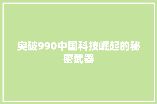 突破990中国科技崛起的秘密武器 GoogleSEO