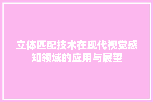 立体匹配技术在现代视觉感知领域的应用与展望