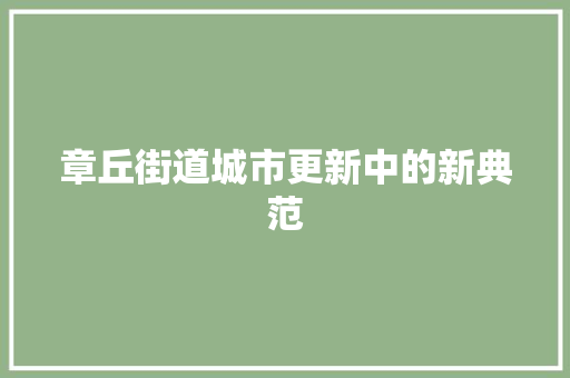 章丘街道城市更新中的新典范 神马SEO