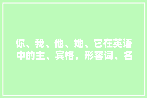 你、我、他、她、它在英语中的主、宾格，形容词、名词型的物助代词，和反身代词是什么啊!知道的说一下，谢谢咯「她为什么说英语翻译」 你、我、他、她、它在英语中的主、宾格，形容词、名词型的物助代词，和反身代词是什么啊!知道的说一下，谢谢咯「她为什么说英语翻译」 神马SEO