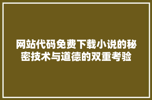 网站代码免费下载小说的秘密技术与道德的双重考验 必应SEO