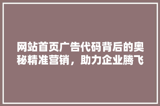 网站首页广告代码背后的奥秘精准营销，助力企业腾飞