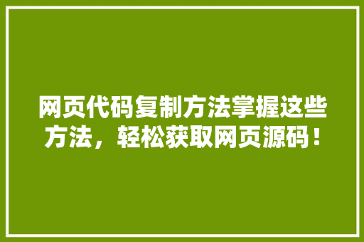 网页代码复制方法掌握这些方法，轻松获取网页源码！ 神马SEO