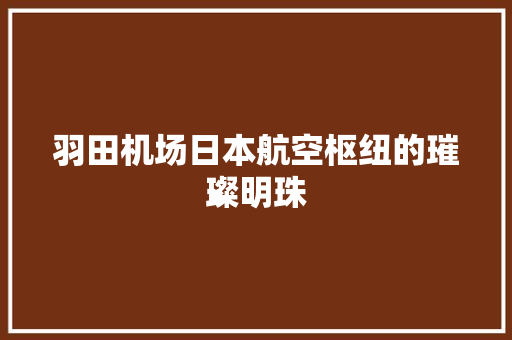羽田机场日本航空枢纽的璀璨明珠 百度SEO
