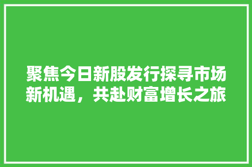 聚焦今日新股发行探寻市场新机遇，共赴财富增长之旅