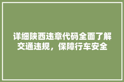 详细陕西违章代码全面了解交通违规，保障行车安全 必应SEO
