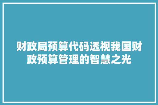 财政局预算代码透视我国财政预算管理的智慧之光 百度SEO