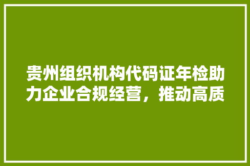 贵州组织机构代码证年检助力企业合规经营，推动高质量发展 GoogleSEO