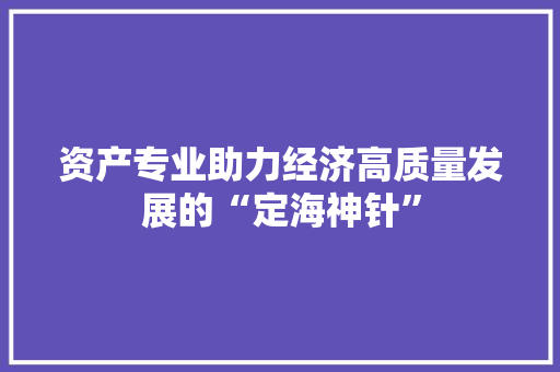 资产专业助力经济高质量发展的“定海神针” GoogleSEO