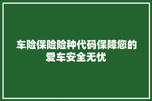 车险保险险种代码保障您的爱车安全无忧
