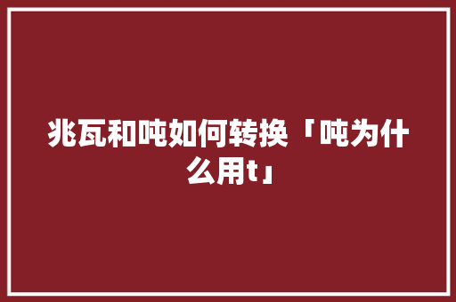 兆瓦和吨如何转换「吨为什么用t」