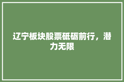 辽宁板块股票砥砺前行，潜力无限
