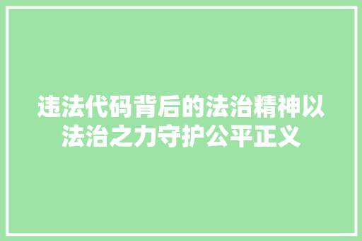 违法代码背后的法治精神以法治之力守护公平正义