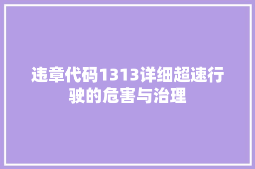 违章代码1313详细超速行驶的危害与治理