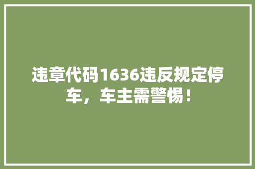 违章代码1636违反规定停车，车主需警惕！