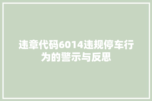 违章代码6014违规停车行为的警示与反思