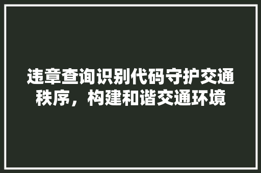 违章查询识别代码守护交通秩序，构建和谐交通环境