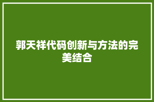 郭天祥代码创新与方法的完美结合