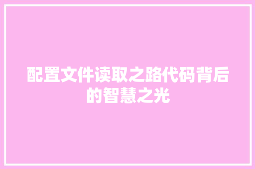 配置文件读取之路代码背后的智慧之光
