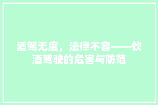 酒驾无度，法律不容——饮酒驾驶的危害与防范