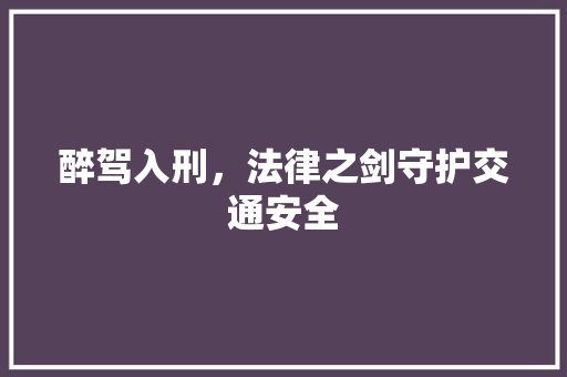 醉驾入刑，法律之剑守护交通安全