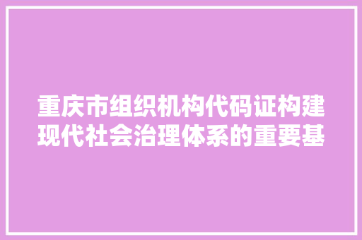 重庆市组织机构代码证构建现代社会治理体系的重要基石