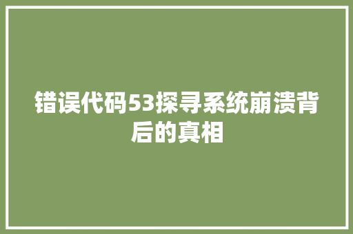 错误代码53探寻系统崩溃背后的真相 神马SEO