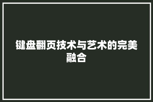 键盘翻页技术与艺术的完美融合 GoogleSEO