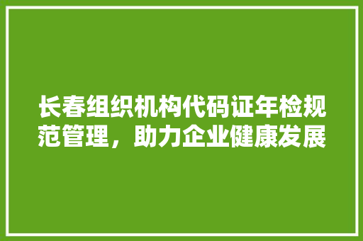 长春组织机构代码证年检规范管理，助力企业健康发展 GoogleSEO