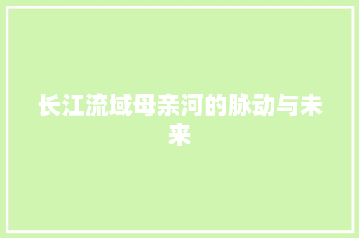 长江流域母亲河的脉动与未来 神马SEO