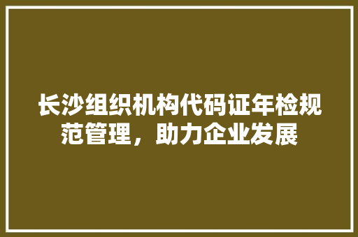 长沙组织机构代码证年检规范管理，助力企业发展 神马SEO