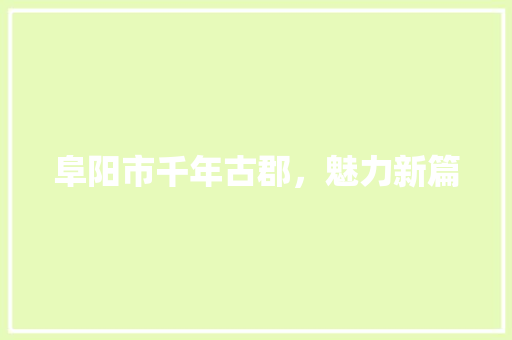 阜阳市千年古郡，魅力新篇 GoogleSEO
