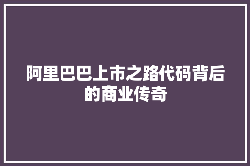 阿里巴巴上市之路代码背后的商业传奇 神马SEO