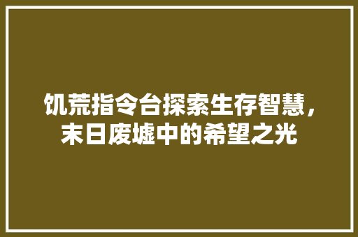 饥荒指令台探索生存智慧，末日废墟中的希望之光