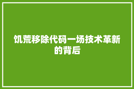 饥荒移除代码一场技术革新的背后