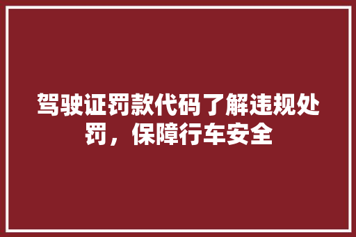 驾驶证罚款代码了解违规处罚，保障行车安全 必应SEO