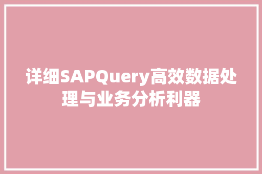 详细SAPQuery高效数据处理与业务分析利器 百度SEO