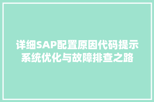 详细SAP配置原因代码提示系统优化与故障排查之路