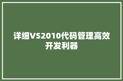 详细VS2010代码管理高效开发利器