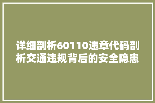 详细剖析60110违章代码剖析交通违规背后的安全隐患与治理步骤