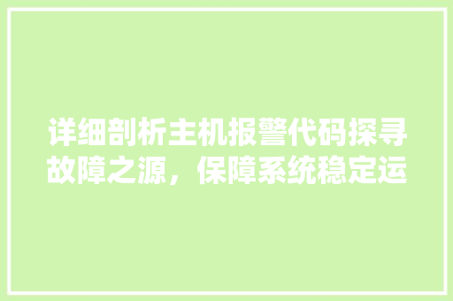 详细剖析主机报警代码探寻故障之源，保障系统稳定运行