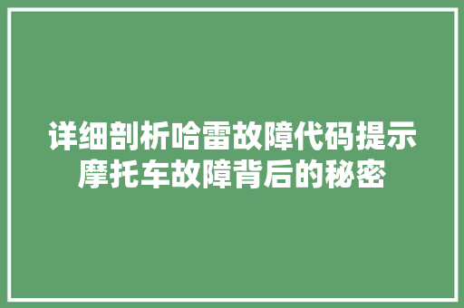 详细剖析哈雷故障代码提示摩托车故障背后的秘密 神马SEO