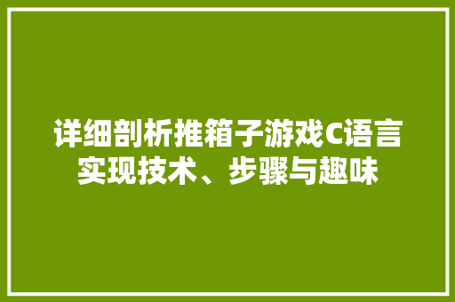 详细剖析推箱子游戏C语言实现技术、步骤与趣味 必应SEO