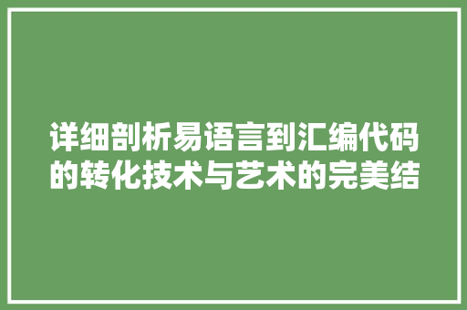 详细剖析易语言到汇编代码的转化技术与艺术的完美结合