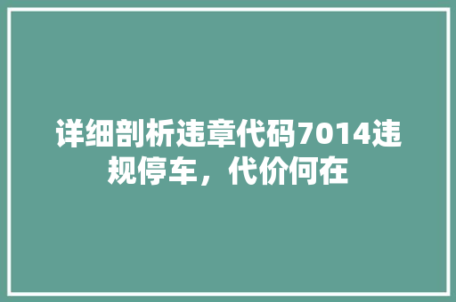 详细剖析违章代码7014违规停车，代价何在 神马SEO