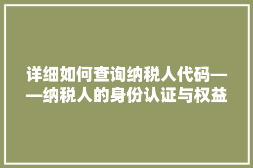 详细如何查询纳税人代码——纳税人的身份认证与权益保障之路