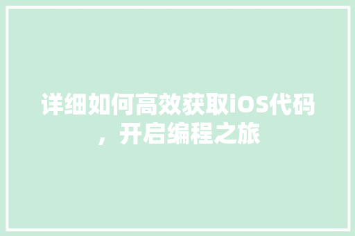 详细如何高效获取iOS代码，开启编程之旅 必应SEO