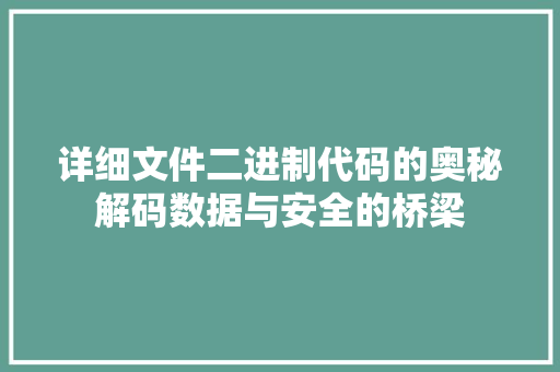 详细文件二进制代码的奥秘解码数据与安全的桥梁 百度SEO