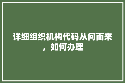 详细组织机构代码从何而来，如何办理 百度SEO